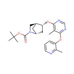 Cc1ncccc1Oc1ncnc(O[C@@H]2C[C@H]3C[C@H]2CN3C(=O)OC(C)(C)C)c1C ZINC000101417715