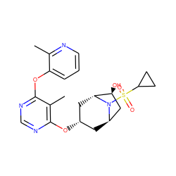 Cc1ncccc1Oc1ncnc(O[C@H]2C[C@@H]3C[C@H](O)[C@@H](C2)N3S(=O)(=O)C2CC2)c1C ZINC000101417656