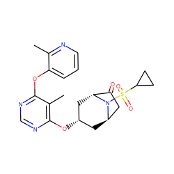 Cc1ncccc1Oc1ncnc(O[C@H]2C[C@@H]3CC(=O)[C@@H](C2)N3S(=O)(=O)C2CC2)c1C ZINC000101417671