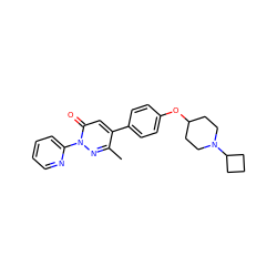 Cc1nn(-c2ccccn2)c(=O)cc1-c1ccc(OC2CCN(C3CCC3)CC2)cc1 ZINC000082150427