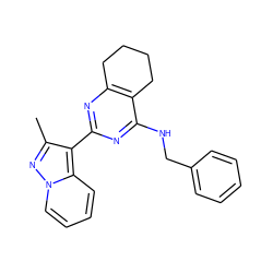 Cc1nn2ccccc2c1-c1nc2c(c(NCc3ccccc3)n1)CCCC2 ZINC000142271258