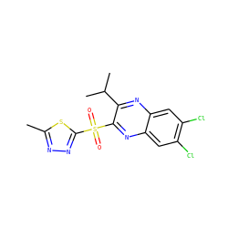 Cc1nnc(S(=O)(=O)c2nc3cc(Cl)c(Cl)cc3nc2C(C)C)s1 ZINC000028950884