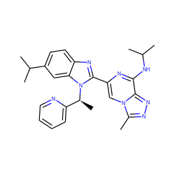 Cc1nnc2c(NC(C)C)nc(-c3nc4ccc(C(C)C)cc4n3[C@@H](C)c3ccccn3)cn12 ZINC000209326622