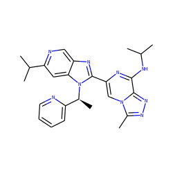 Cc1nnc2c(NC(C)C)nc(-c3nc4cnc(C(C)C)cc4n3[C@@H](C)c3ccccn3)cn12 ZINC000209321648