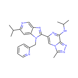 Cc1nnc2c(NC(C)C)nc(-c3nc4cnc(C(C)C)cc4n3Cc3ccccn3)cn12 ZINC000209321555