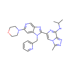 Cc1nnc2c(NC(C)C)nc(-c3nc4cnc(N5CCOCC5)cc4n3Cc3ccccn3)cn12 ZINC000209395081