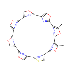 Cc1oc2nc1-c1nc(co1)-c1nc(co1)-c1nc(co1)-c1nc(co1)-c1nc(co1)C1=N[C@@H](CS1)c1nc-2c(C)o1 ZINC000003975327