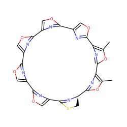 Cc1oc2nc1-c1nc(co1)-c1nc(co1)-c1nc(co1)-c1nc(co1)-c1nc(co1)C1=N[C@H](CS1)c1nc-2c(C)o1 ZINC000004102312