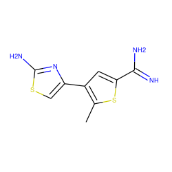 Cc1sc(C(=N)N)cc1-c1csc(N)n1 ZINC000028014438