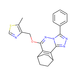 Cc1scnc1COc1nn2c(-c3ccccc3)nnc2c2c1C1CCC2CC1 ZINC000013610444