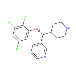 Clc1cc(Cl)c(Cl)c(O[C@@H](c2cccnc2)C2CCNCC2)c1 ZINC000043077353