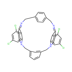 Clc1cc(Cl)c2c(c1)N1C=CC2=NCc2ccc(cc2)CN=C2C=CN(Cc3cccc(c3)C1)c1cc(Cl)cc(Cl)c12 ZINC000377848798