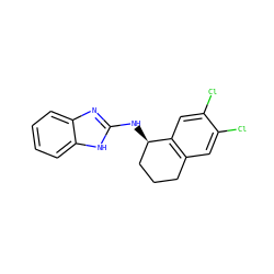 Clc1cc2c(cc1Cl)[C@H](Nc1nc3ccccc3[nH]1)CCC2 ZINC000040866429