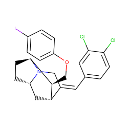 Clc1ccc(/C=C2\CN3[C@H]4CC[C@H]3[C@@H](COc3ccc(I)cc3)[C@H]2C4)cc1Cl ZINC000100814126