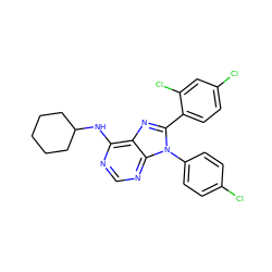 Clc1ccc(-n2c(-c3ccc(Cl)cc3Cl)nc3c(NC4CCCCC4)ncnc32)cc1 ZINC000040974265