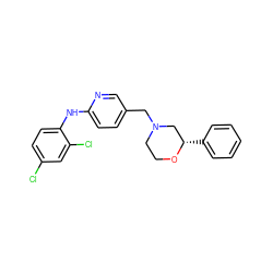 Clc1ccc(Nc2ccc(CN3CCO[C@@H](c4ccccc4)C3)cn2)c(Cl)c1 ZINC000043195551