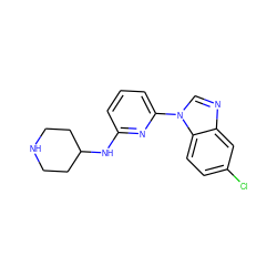 Clc1ccc2c(c1)ncn2-c1cccc(NC2CCNCC2)n1 ZINC000029044792