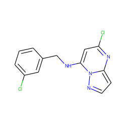 Clc1cccc(CNc2cc(Cl)nc3ccnn23)c1 ZINC000040395783