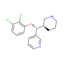 Clc1cccc(O[C@@H](c2cccnc2)[C@@H]2CCCNC2)c1Cl ZINC000043015950