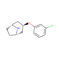 Clc1cccc(O[C@H]2C[C@@H]3CC[C@H](C2)N3)c1 ZINC000101387144