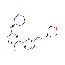 Clc1cnc(N[C@@H]2CCCNC2)cc1-c1cccc(NCC2CCOCC2)n1 ZINC000169703688