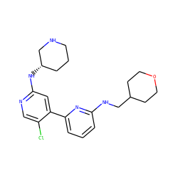 Clc1cnc(N[C@H]2CCCNC2)cc1-c1cccc(NCC2CCOCC2)n1 ZINC000169703694