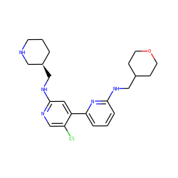 Clc1cnc(NC[C@@H]2CCCNC2)cc1-c1cccc(NCC2CCOCC2)n1 ZINC000169703832