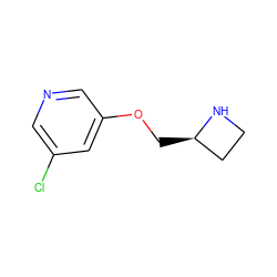 Clc1cncc(OC[C@@H]2CCN2)c1 ZINC000003805148