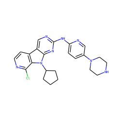 Clc1nccc2c3cnc(Nc4ccc(N5CCNCC5)cn4)nc3n(C3CCCC3)c12 ZINC000117686763