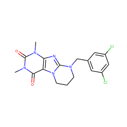 Cn1c(=O)c2c(nc3n2CCCN3Cc2cc(Cl)cc(Cl)c2)n(C)c1=O ZINC000103249946