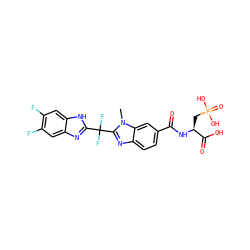 Cn1c(C(F)(F)c2nc3cc(F)c(F)cc3[nH]2)nc2ccc(C(=O)N[C@@H](CP(=O)(O)O)C(=O)O)cc21 ZINC000003587626