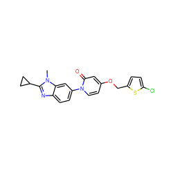 Cn1c(C2CC2)nc2ccc(-n3ccc(OCc4ccc(Cl)s4)cc3=O)cc21 ZINC000224386424