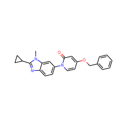 Cn1c(C2CC2)nc2ccc(-n3ccc(OCc4ccccc4)cc3=O)cc21 ZINC000223455538