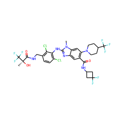 Cn1c(Nc2c(Cl)ccc(CNC(=O)[C@@](C)(O)C(F)(F)F)c2Cl)nc2cc(C(=O)NC3CC(F)(F)C3)c(N3CCC(C(F)(F)F)CC3)cc21 ZINC000169701074