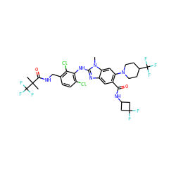 Cn1c(Nc2c(Cl)ccc(CNC(=O)C(C)(C)C(F)(F)F)c2Cl)nc2cc(C(=O)NC3CC(F)(F)C3)c(N3CCC(C(F)(F)F)CC3)cc21 ZINC000169701073