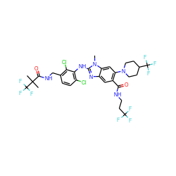 Cn1c(Nc2c(Cl)ccc(CNC(=O)C(C)(C)C(F)(F)F)c2Cl)nc2cc(C(=O)NCCC(F)(F)F)c(N3CCC(C(F)(F)F)CC3)cc21 ZINC000169701077