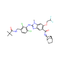 Cn1c(Nc2c(Cl)ccc(CNC(=O)C(C)(C)C)c2Cl)nc2cc(C(=O)N[C@H]3C[C@H]4CC[C@H]3C4)c(OCC(F)F)cc21 ZINC000261146739