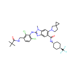 Cn1c(Nc2c(Cl)ccc(CNC(=O)C(C)(C)C)c2Cl)nc2cc(C(=O)N[C@H]3CC[C@H](C(F)(F)F)CC3)c(N3CCC4(CC4)C3)cc21 ZINC000261165437