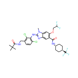 Cn1c(Nc2c(Cl)ccc(CNC(=O)C(C)(C)C)c2Cl)nc2cc(C(=O)N[C@H]3CC[C@H](C(F)(F)F)CC3)c(OCC(F)F)cc21 ZINC000261152723