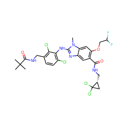 Cn1c(Nc2c(Cl)ccc(CNC(=O)C(C)(C)C)c2Cl)nc2cc(C(=O)NC[C@@H]3CC3(Cl)Cl)c(OCC(F)F)cc21 ZINC000169703099