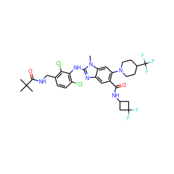 Cn1c(Nc2c(Cl)ccc(CNC(=O)C(C)(C)C)c2Cl)nc2cc(C(=O)NC3CC(F)(F)C3)c(N3CCC(C(F)(F)F)CC3)cc21 ZINC000169700881