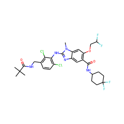 Cn1c(Nc2c(Cl)ccc(CNC(=O)C(C)(C)C)c2Cl)nc2cc(C(=O)NC3CCC(F)(F)CC3)c(OCC(F)F)cc21 ZINC000169703132