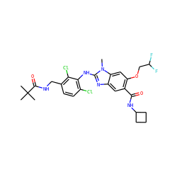 Cn1c(Nc2c(Cl)ccc(CNC(=O)C(C)(C)C)c2Cl)nc2cc(C(=O)NC3CCC3)c(OCC(F)F)cc21 ZINC000169703081