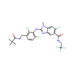 Cn1c(Nc2c(Cl)ccc(CNC(=O)C(C)(C)C)c2Cl)nc2cc(C(=O)NCC(F)(F)F)c(F)cc21 ZINC000169703070