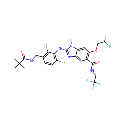 Cn1c(Nc2c(Cl)ccc(CNC(=O)C(C)(C)C)c2Cl)nc2cc(C(=O)NCC(F)(F)F)c(OCC(F)F)cc21 ZINC000169703123