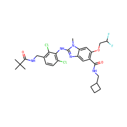 Cn1c(Nc2c(Cl)ccc(CNC(=O)C(C)(C)C)c2Cl)nc2cc(C(=O)NCC3CCC3)c(OCC(F)F)cc21 ZINC000169703104