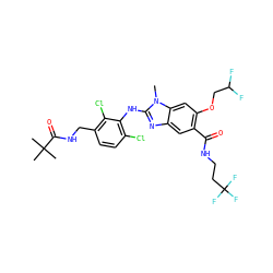 Cn1c(Nc2c(Cl)ccc(CNC(=O)C(C)(C)C)c2Cl)nc2cc(C(=O)NCCC(F)(F)F)c(OCC(F)F)cc21 ZINC000169703106