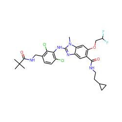 Cn1c(Nc2c(Cl)ccc(CNC(=O)C(C)(C)C)c2Cl)nc2cc(C(=O)NCCC3CC3)c(OCC(F)F)cc21 ZINC000169703110