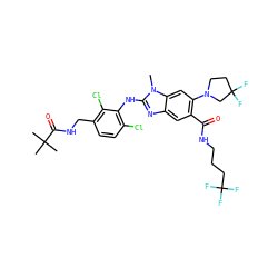 Cn1c(Nc2c(Cl)ccc(CNC(=O)C(C)(C)C)c2Cl)nc2cc(C(=O)NCCCC(F)(F)F)c(N3CCC(F)(F)C3)cc21 ZINC000169700914