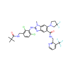 Cn1c(Nc2c(Cl)ccc(CNC(=O)C(C)(C)C)c2Cl)nc2cc(C(=O)NCc3ncccc3C(F)(F)F)c(N3CCC(F)(F)C3)cc21 ZINC000169700911